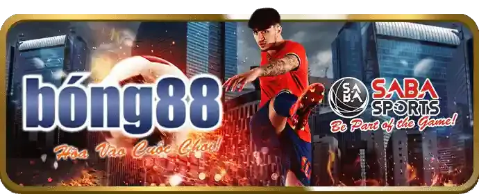 Hoàn tất cài đặt và đăng nhập vào ứng dụng FB88